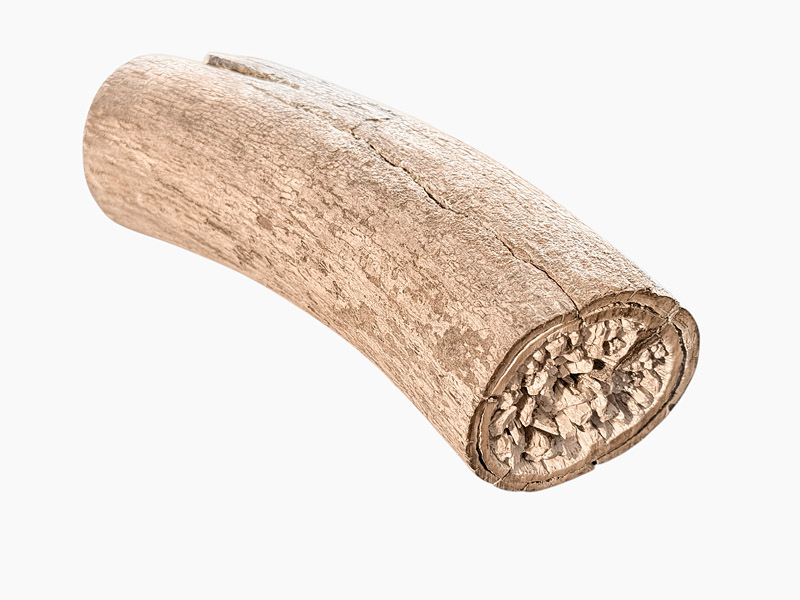 Fossiler Mammut-Stosszahn aus Elfenbein, 25 x 9 cm, 1968 g